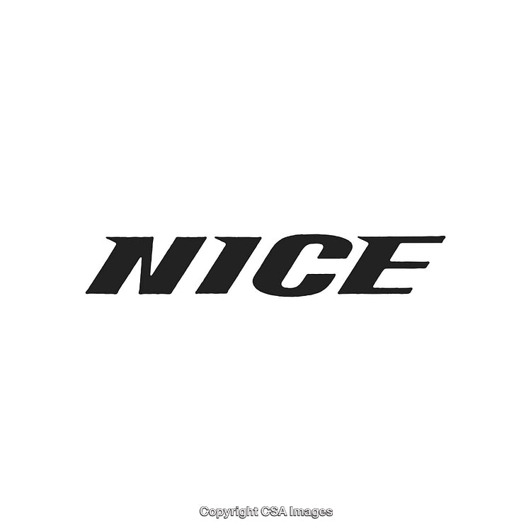Bold Black Text on White Background Displaying the Word 'Nice'