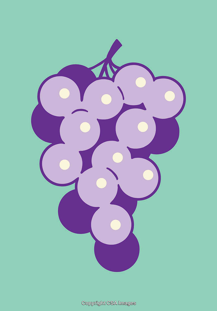 Stylized Cluster of Grapes Illustration on a Teal Background