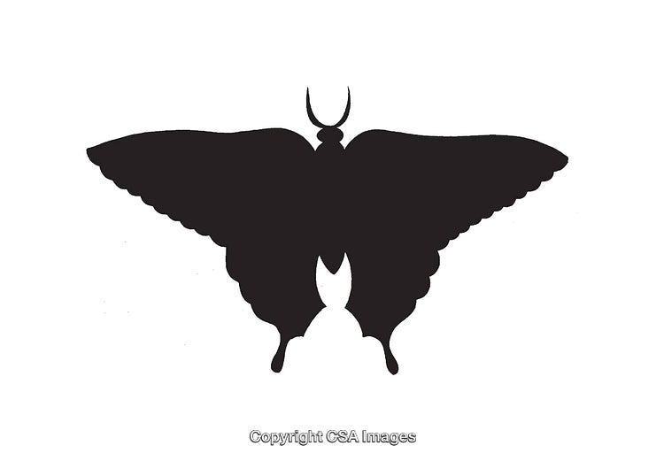 Black Silhouette of a Butterfly with Symmetrical Wing Design