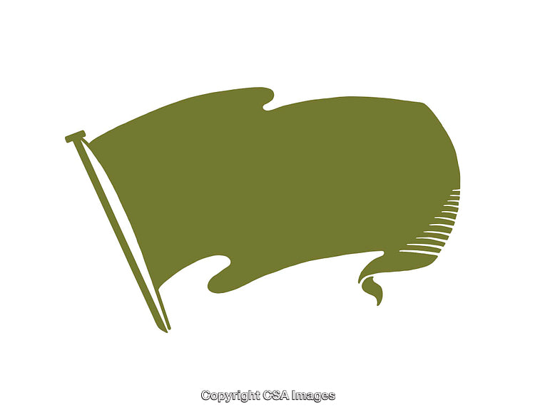 Green Abstract Flag Icon on White Background