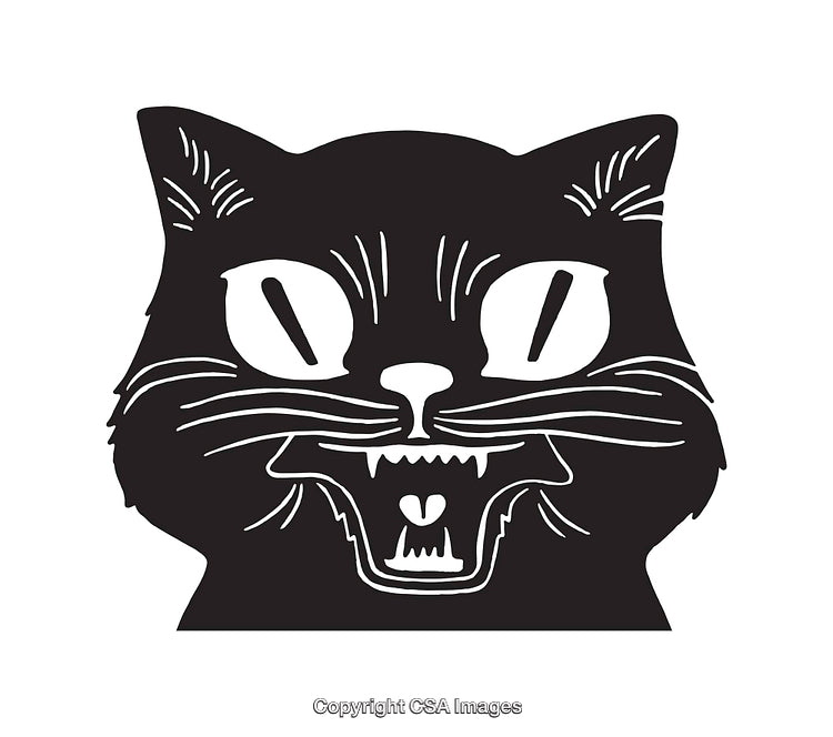 Black and White Illustrative Line Art of a Cat's Face With Expression