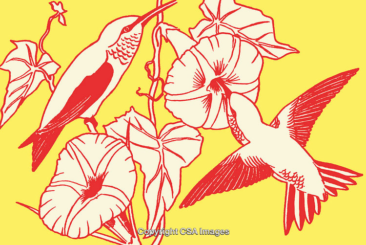 Elegant Red Hummingbirds and Flowers on Vibrant Yellow Background
