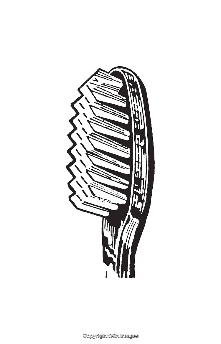 Vintage Black and White Illustration of a Toothbrush Head