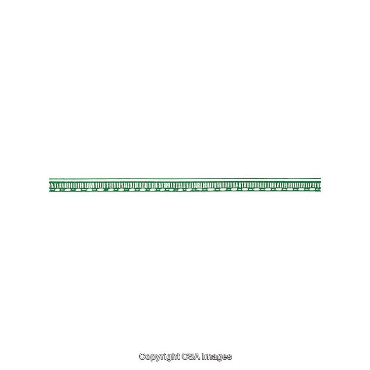 Ornamental Horizontal Decorative Pattern Element with Green Embellishments on White Background