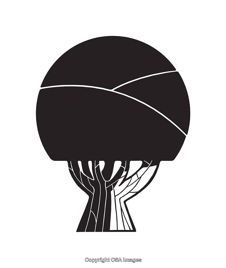 Abstract Black and White Line Art Depiction of a Tree