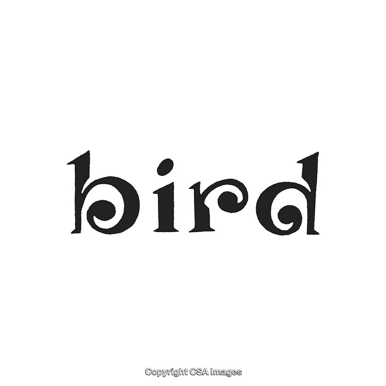 Decorative Word Art Featuring the Typography of the Word 'Bird'