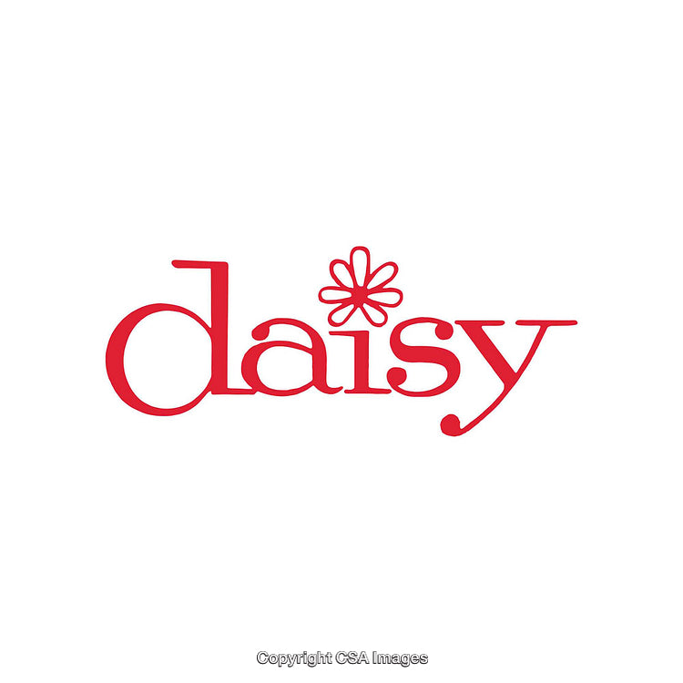 Simple Red Typography Featuring the Word 'Daisy' with Elegant Design Elements