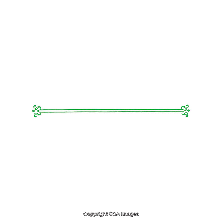 Decorative Green Ornamental Line with Flourishes on White Background