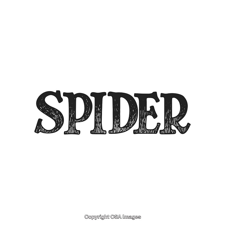 Stylized Spider Text Illustration with Creative Hand-Drawn Typography