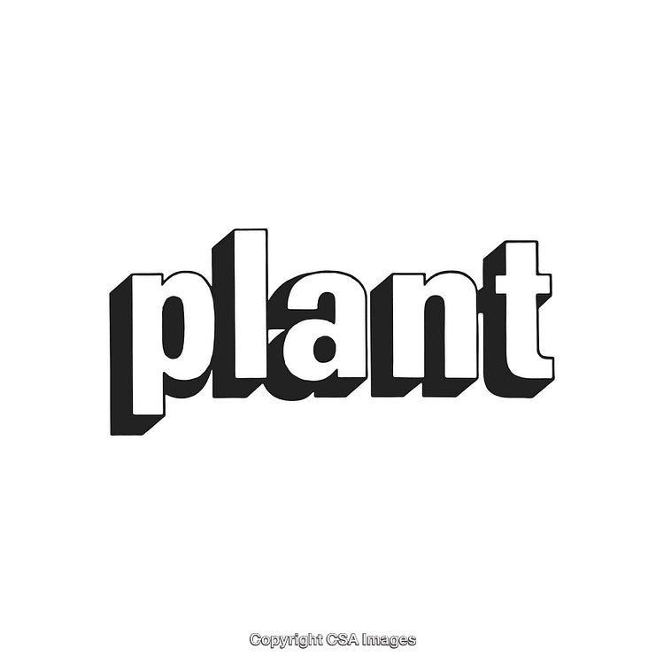 Stylized Text Design of Bold Word 'Plant' in Black and White