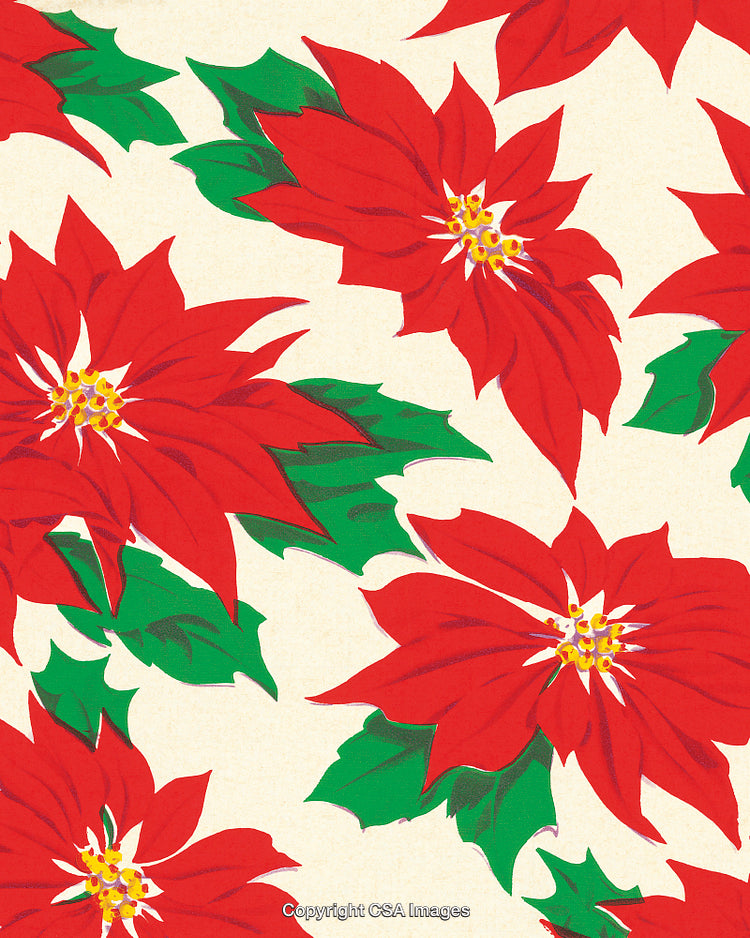 Poinsettias