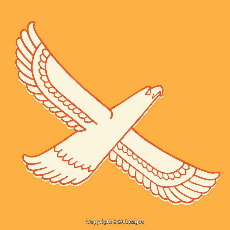 Stylized Line Art Illustration Featuring a Flying Eagle on an Orange Background