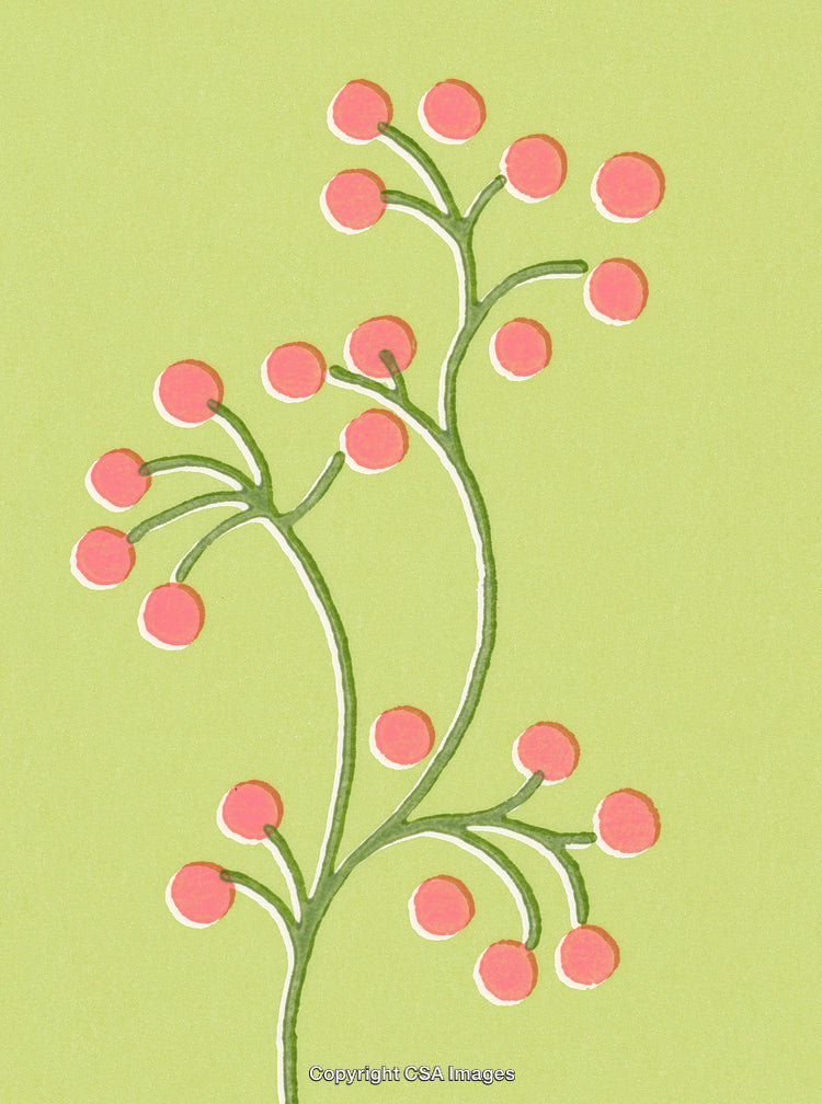 Abstract Illustration of Pink Berries on Light Green Background