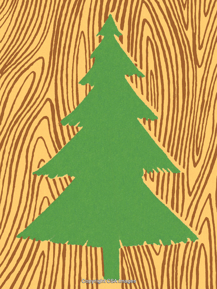 Green Fir Tree Silhouette Over Wood Texture Background Illustration