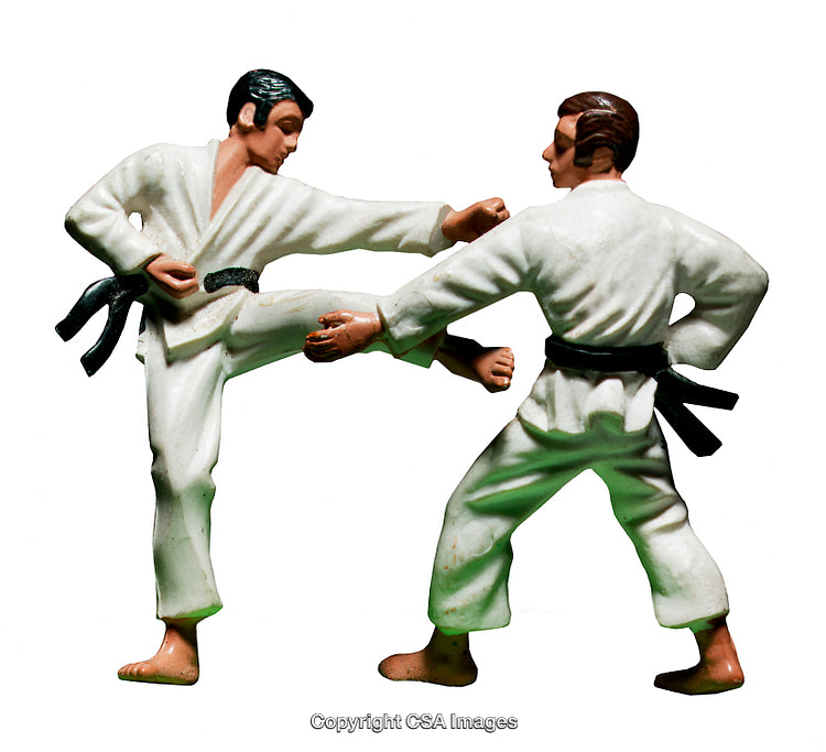 Plastic Karate Figures in Sparring Pose on White Background