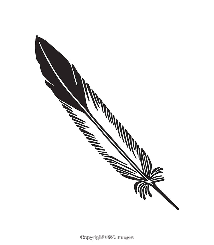 Elegant Black and White Feather Illustration in Stylized Line Art Design