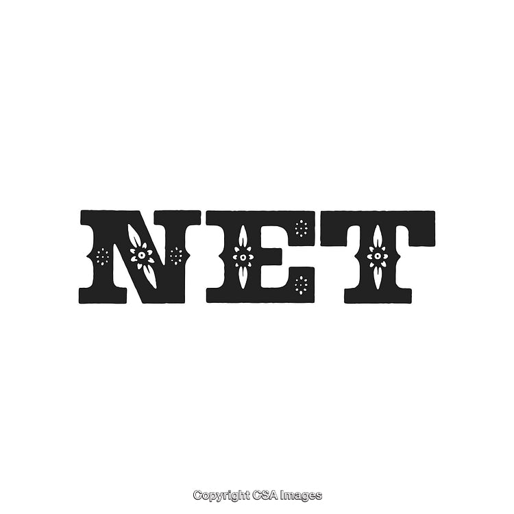 Vintage Decorative Typography Featuring the Word 'Net' with Ornamental Details