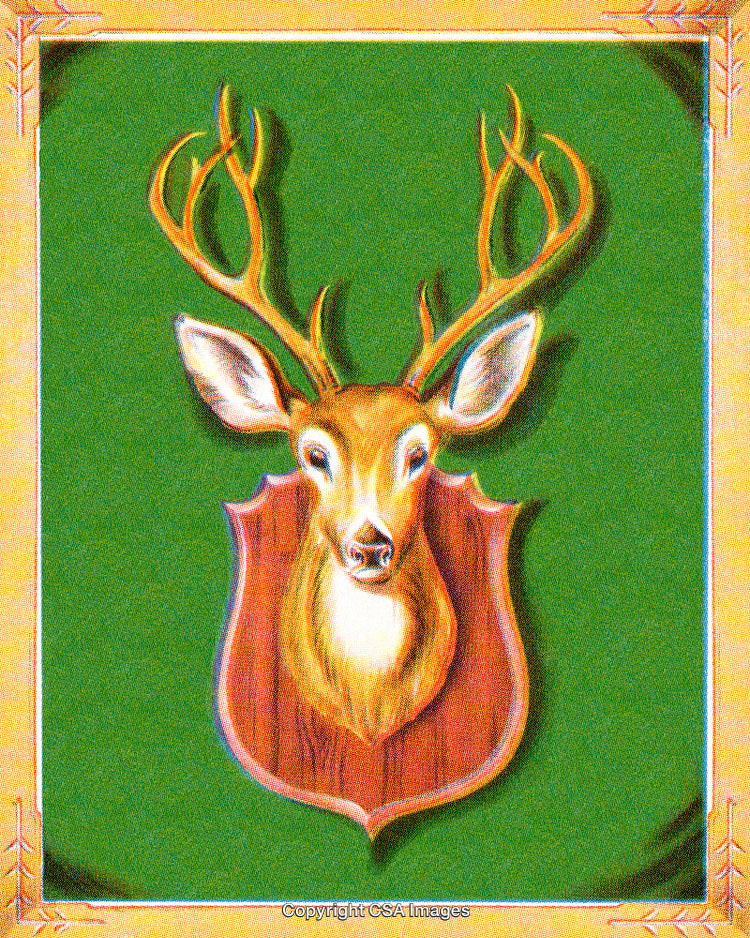 Illustration of a Deer Trophy Mount on a Green Background With Decorative Border