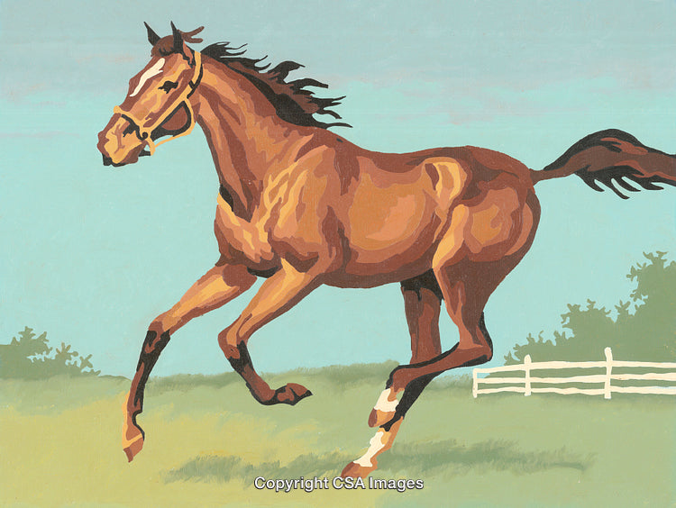 Beautiful Brown Horse Galloping Across a Green Pasture on a Clear Day