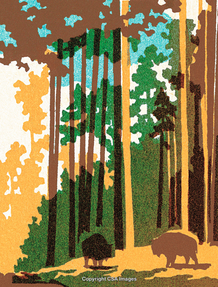 Illustrated Forest Scene with Two Grazing Buffalo in Sunlit Clearings