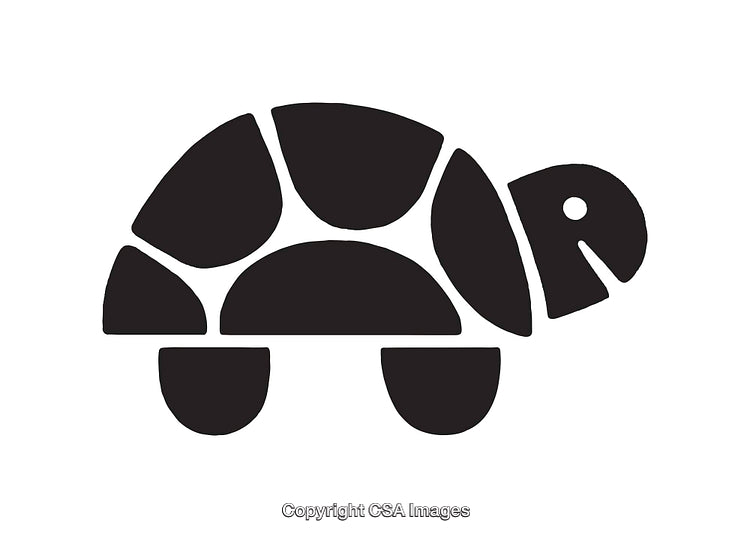 Stylized Black and White Illustration of a Tortoise Icon