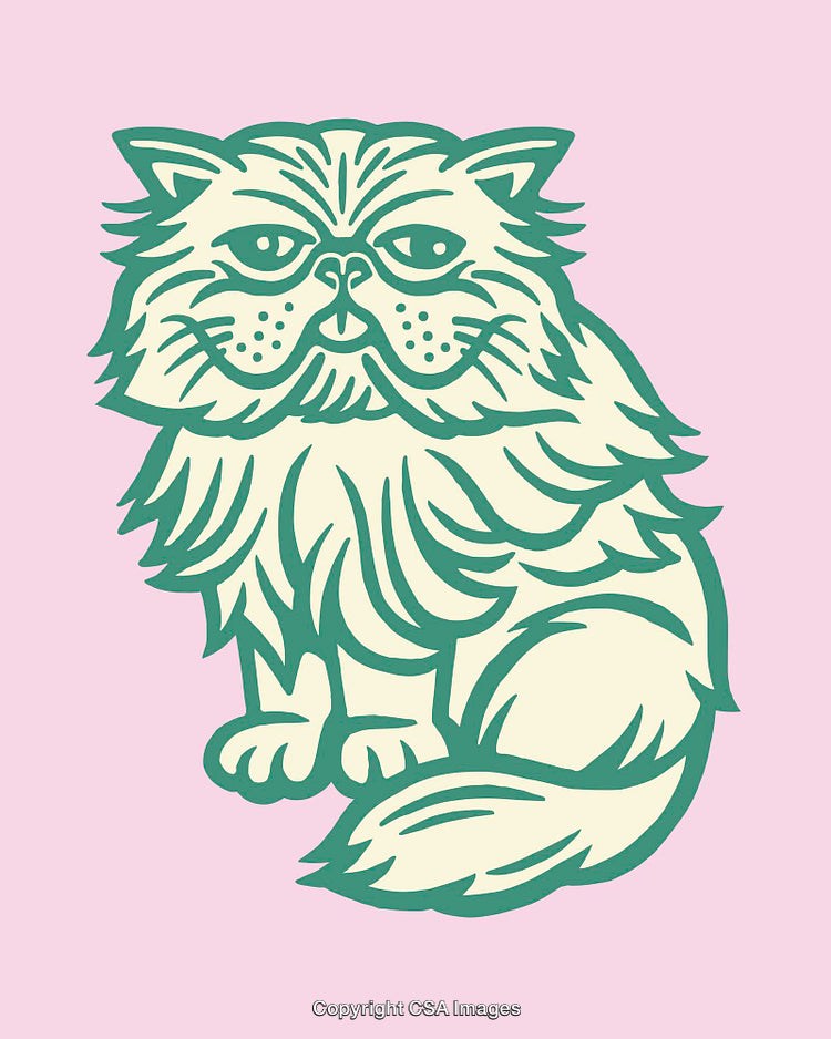 Color Line Art Illustration of a Cat with Stylized Features on Pink