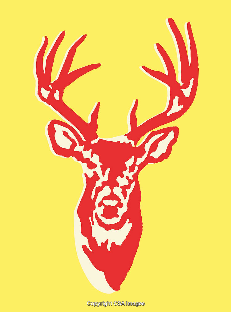 Colorful Line Art Illustration of a Deer Head with Antlers