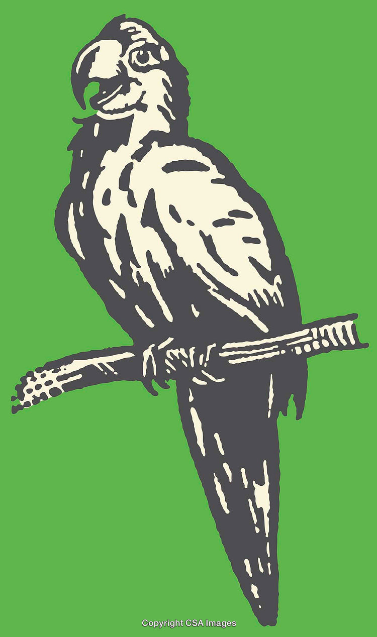 Detailed Line Art of a Parrot Illustration on a Green Background