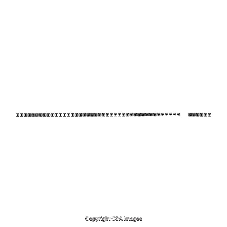 Horizontal Black and White Decorative Borders Isolated on White Background