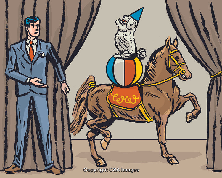 Trick Horse and Pony Act