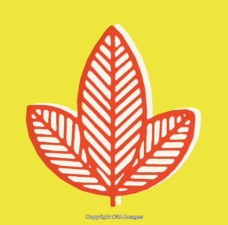 Stylized Red Leaf Icon on Bright Yellow Background