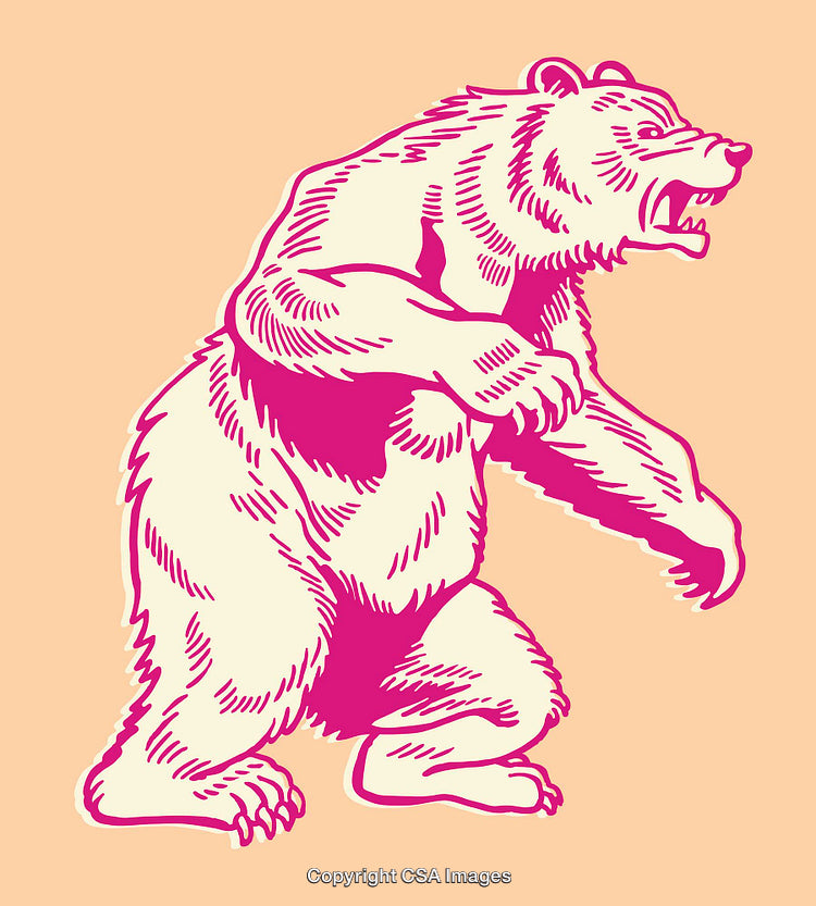 Colorful Line Art Illustration of a Bear in Motion