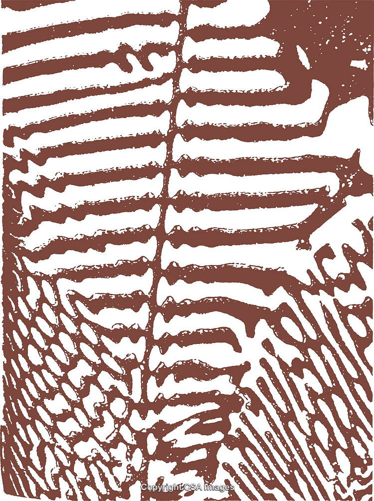 Abstract Brown and White Pattern With Organic Line Texture
