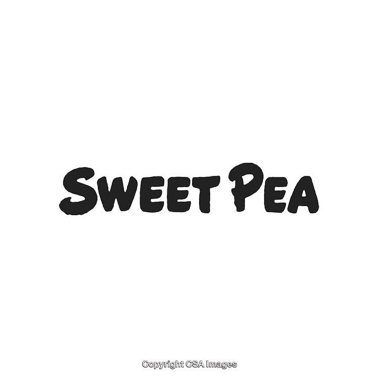 Sweet Pea Text Logo in Bold Black Font on White Background
