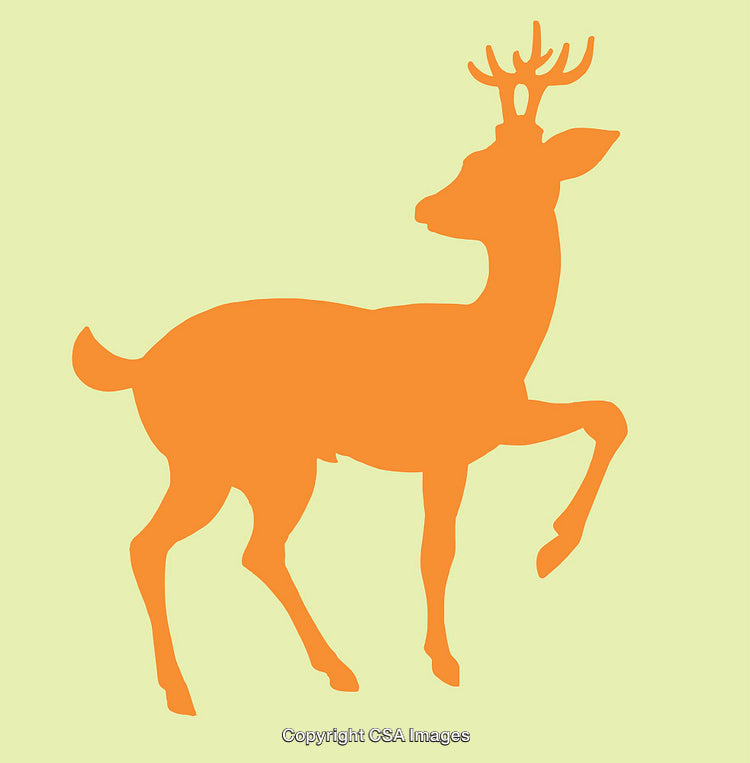 Orange Silhouette Illustration of a Deer on Light Green Background