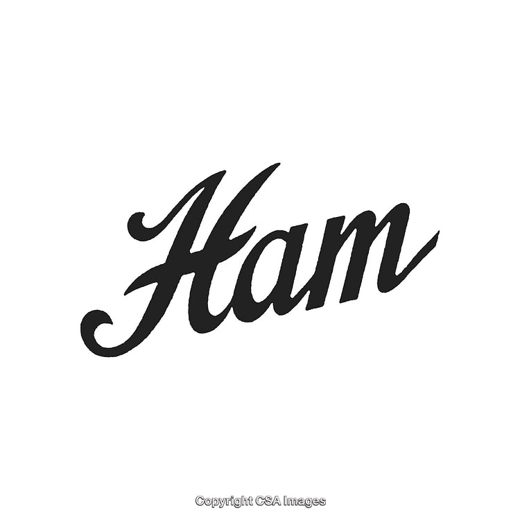 Elegant Handwriting of the Word Ham in Black on White Background