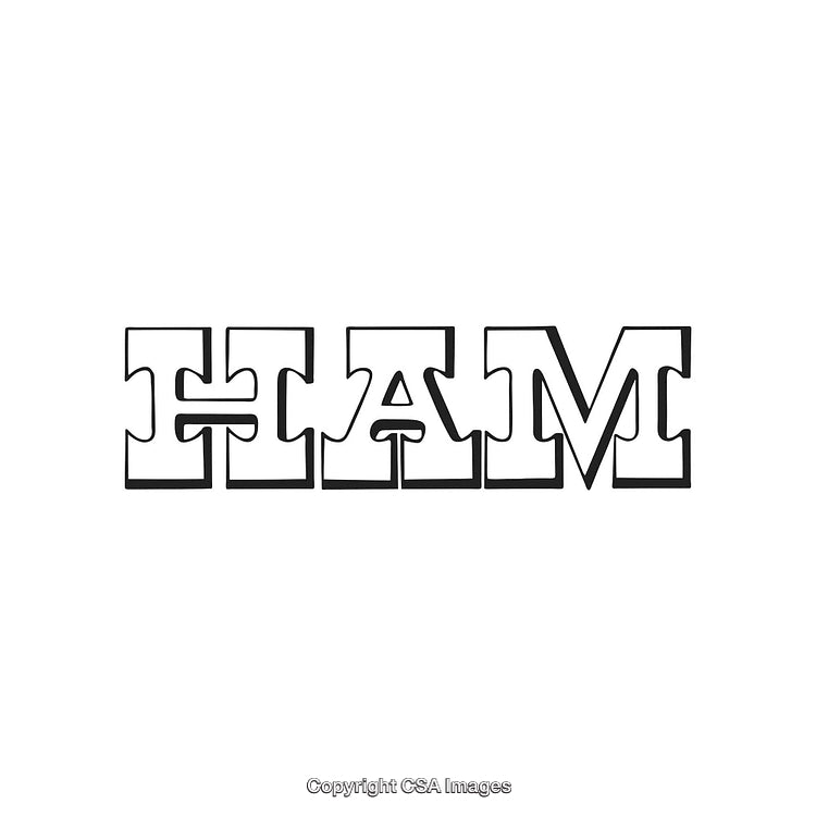 Puzzle Piece Styled Typography with the Word 'HAM' Isolated on White