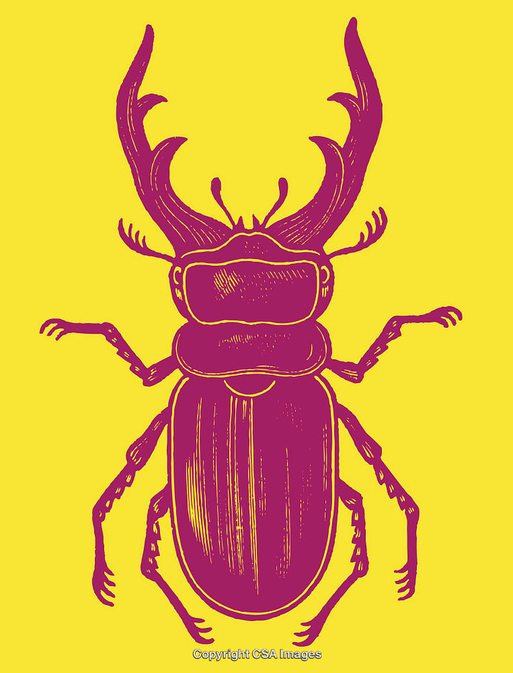 Colorful Line Art Drawing of Stag Beetle on Bright Yellow Background