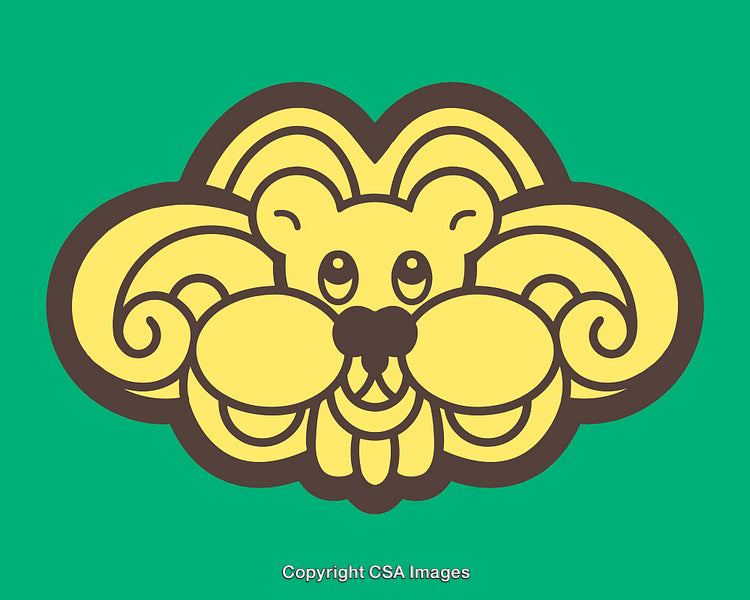 Stylized Line Art Illustration of a Lion Face on Green Background