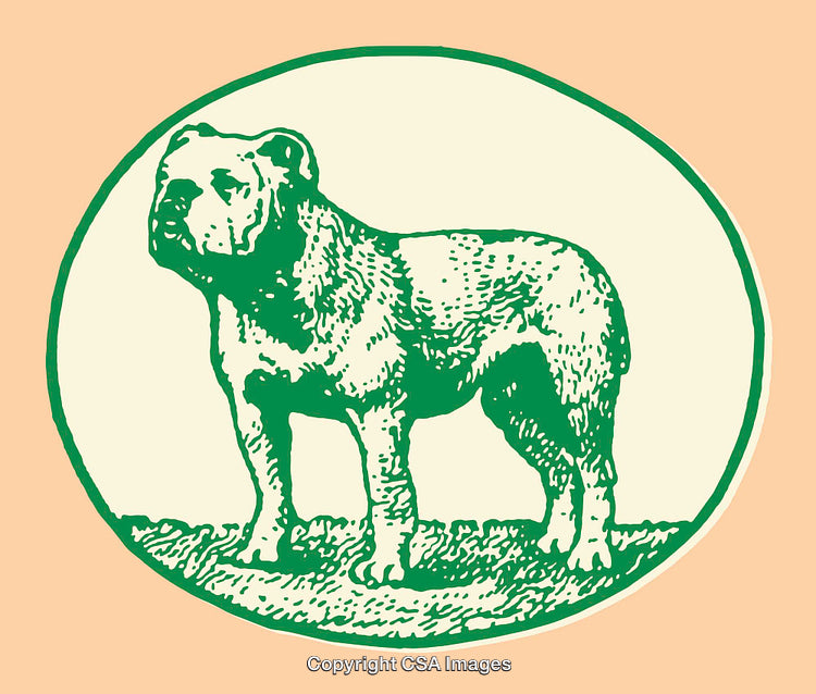 Vintage Green Line Art Illustration of a Bulldog Emblem