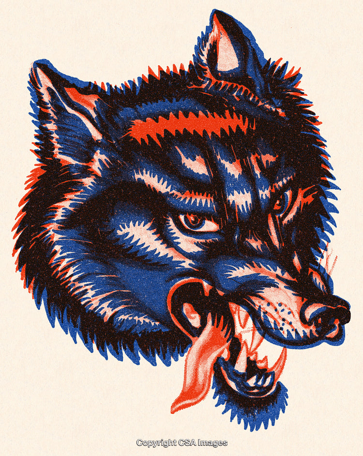 Fierce Multicolored Wolf Illustration with Bold Detailed Artistic Style