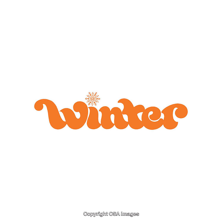 Modern Orange Typography Design Featuring the Word Winter and Snowflake Accent