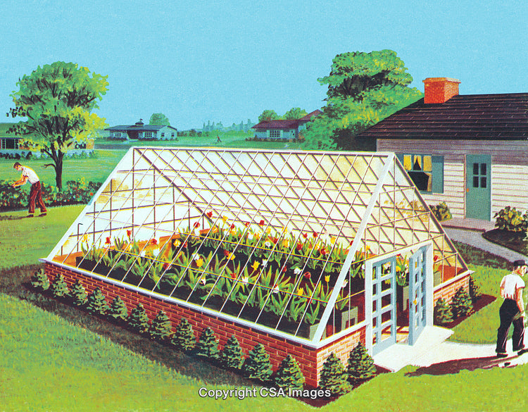 Sunny Backyard Garden Scene with Greenhouse and Thriving Vegetation