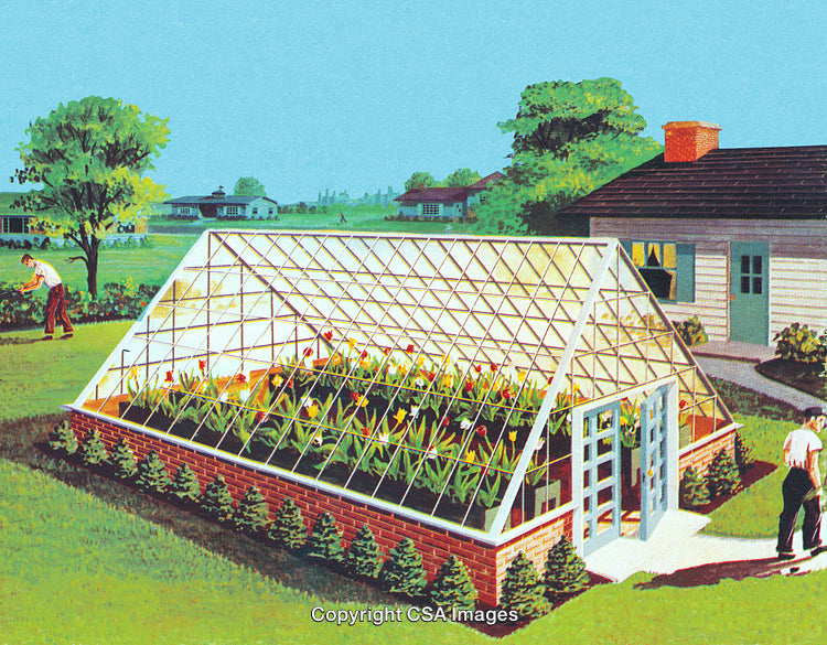 Sunny Backyard Garden Scene with Greenhouse and Thriving Vegetation