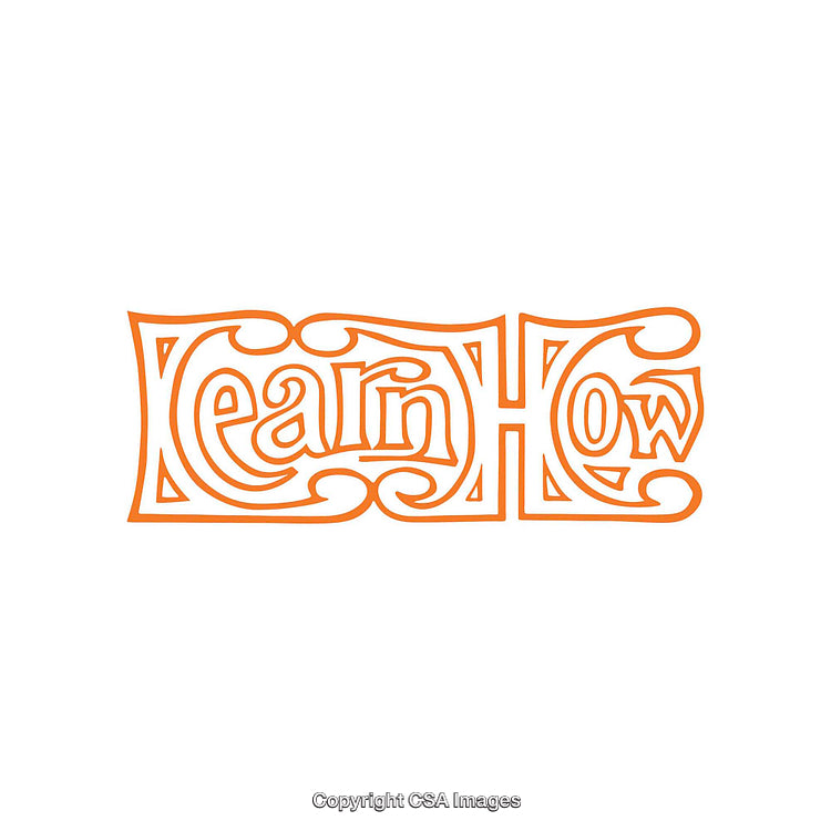 Creative Hand-Lettered Design with Ornate Orange Text Emphasizing Learning Concepts