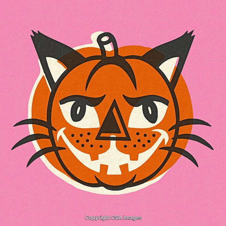 Retro Illustration of a Cat-Faced Pumpkin with Pink Background