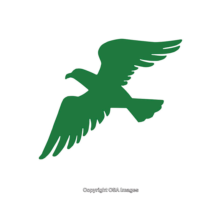 Green Silhouette of a Bird in Flight on a White Background