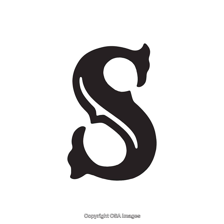 Stylish Black Letter S in Decorative Serif Font on White Background