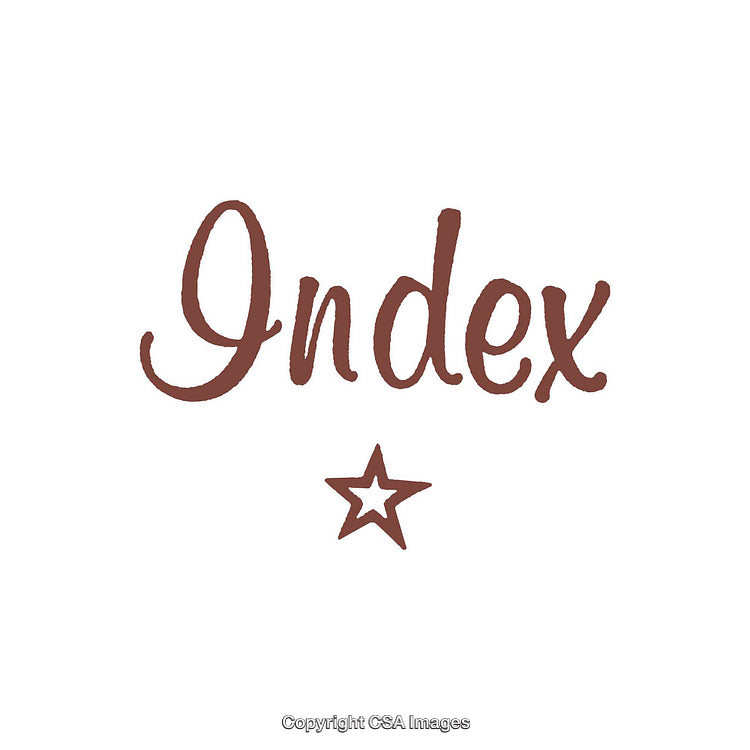 Stylized Word 'Index' in Script with Star Below on White Background