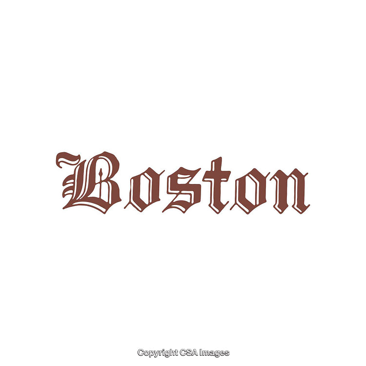 Elegant Typography Design Featuring the Word 'Boston' in Gothic Style